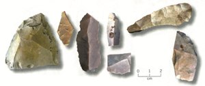 Эти каменные изделия, созданные 15 500 лет назад, подтверждают присутствие человека в Америке на 2 300 лет раньше, чем было принято считать